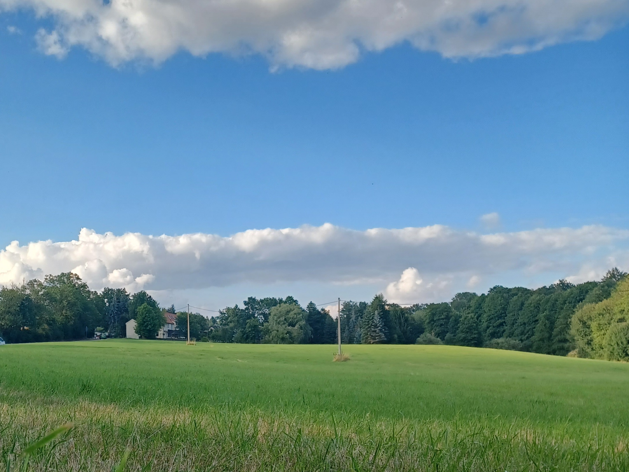 Blick ins Landschaftsschutzgebiet. Eine grüne Wiese mit Wald im Hintergrund und blauem Himmel mit Wolken.